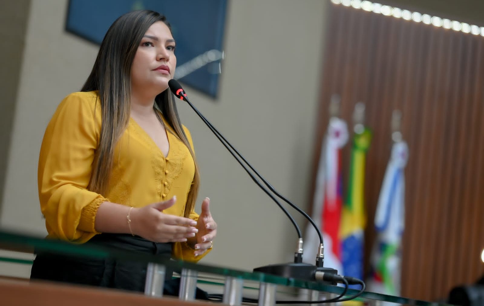 deputada Joana Darc (PL)