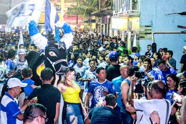 Boi de Rua