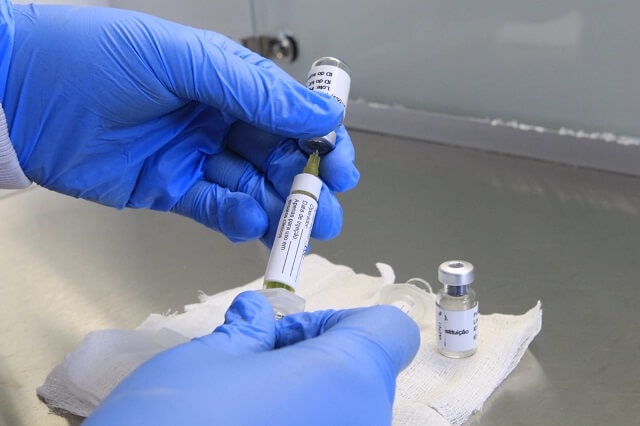 Manaus inicia estudo da vacina contra a Chikungunya em adolescentes