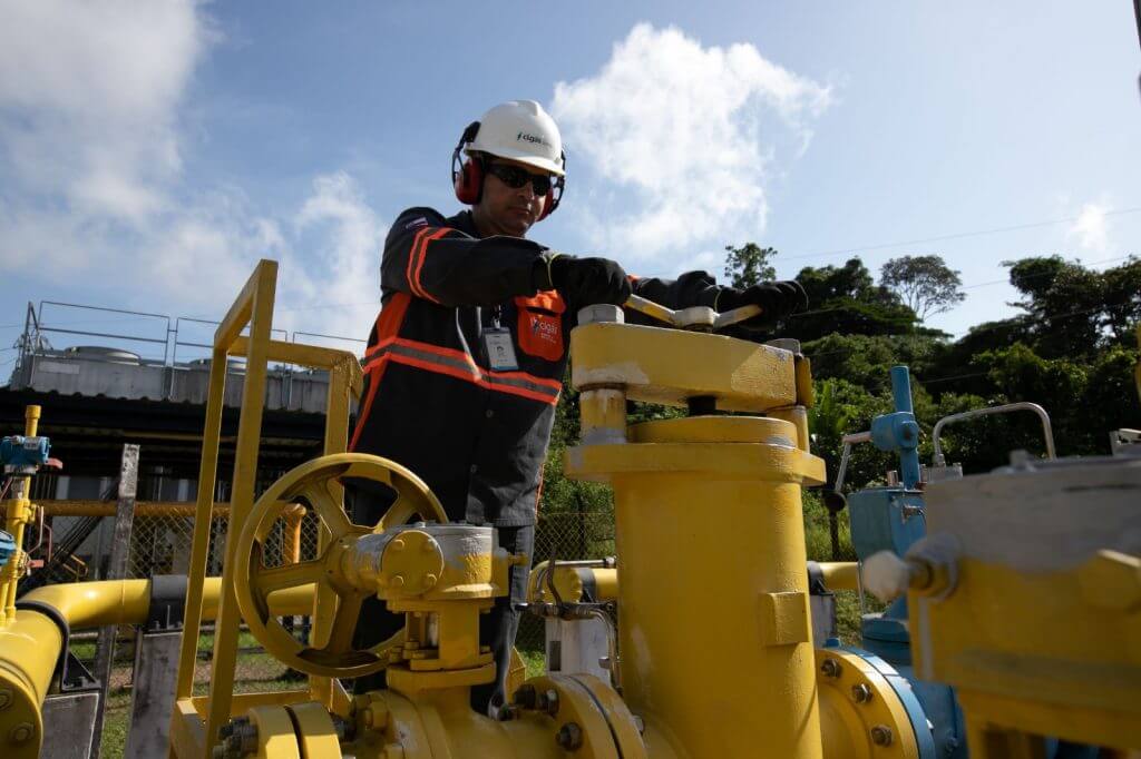 Cigas 1