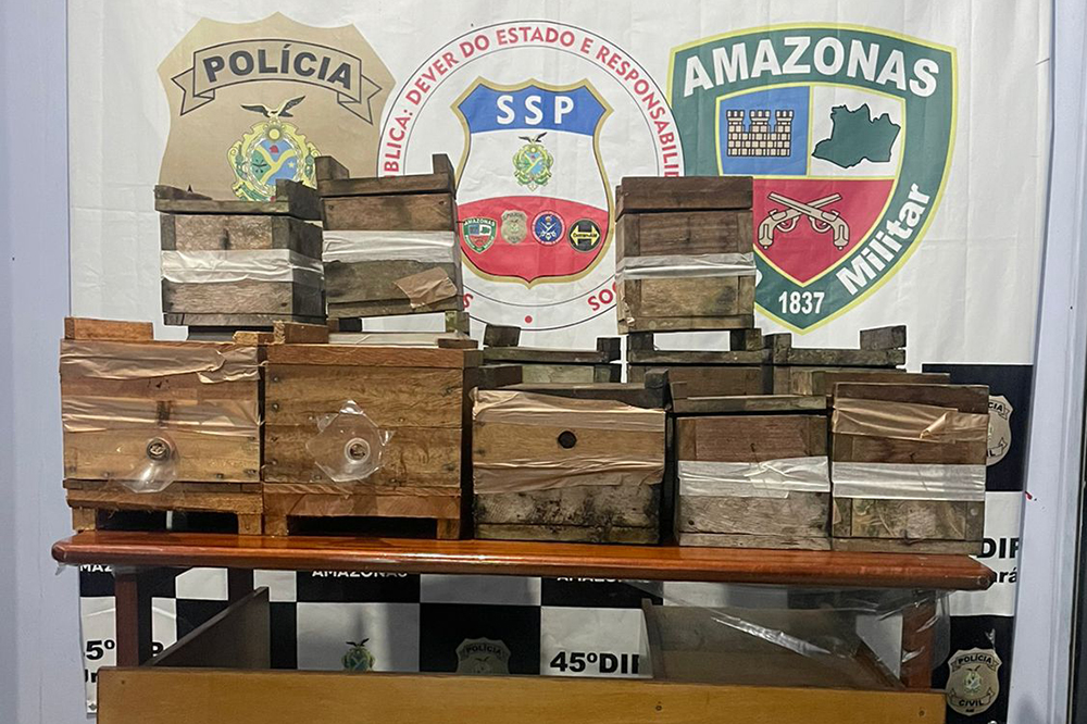 Policia recupera 12 caixas de abelhas furtadas do Centro de Treinamento Rural de Urucara