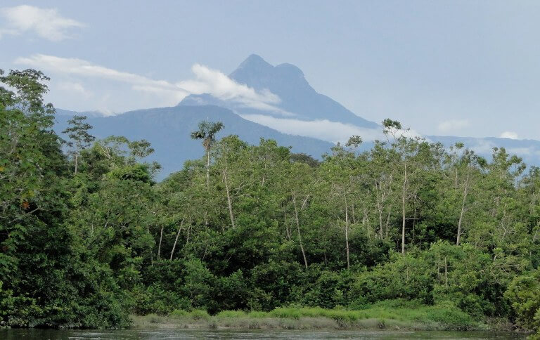 Amazonas