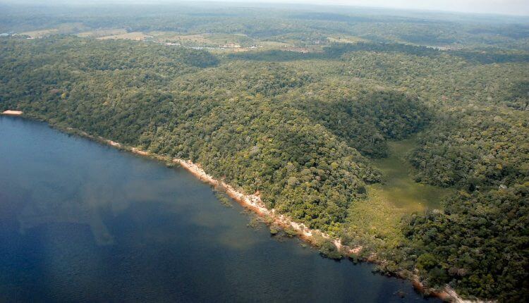No primeiro semestre de 2023 desmatamento no Amazonas tem queda de 55