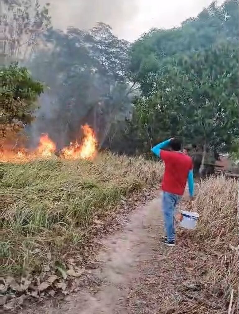 PCAM COMBATE AS QUEIMADAS EM AUTAZES FOTO DIVULGACAO 6 768x1010 1