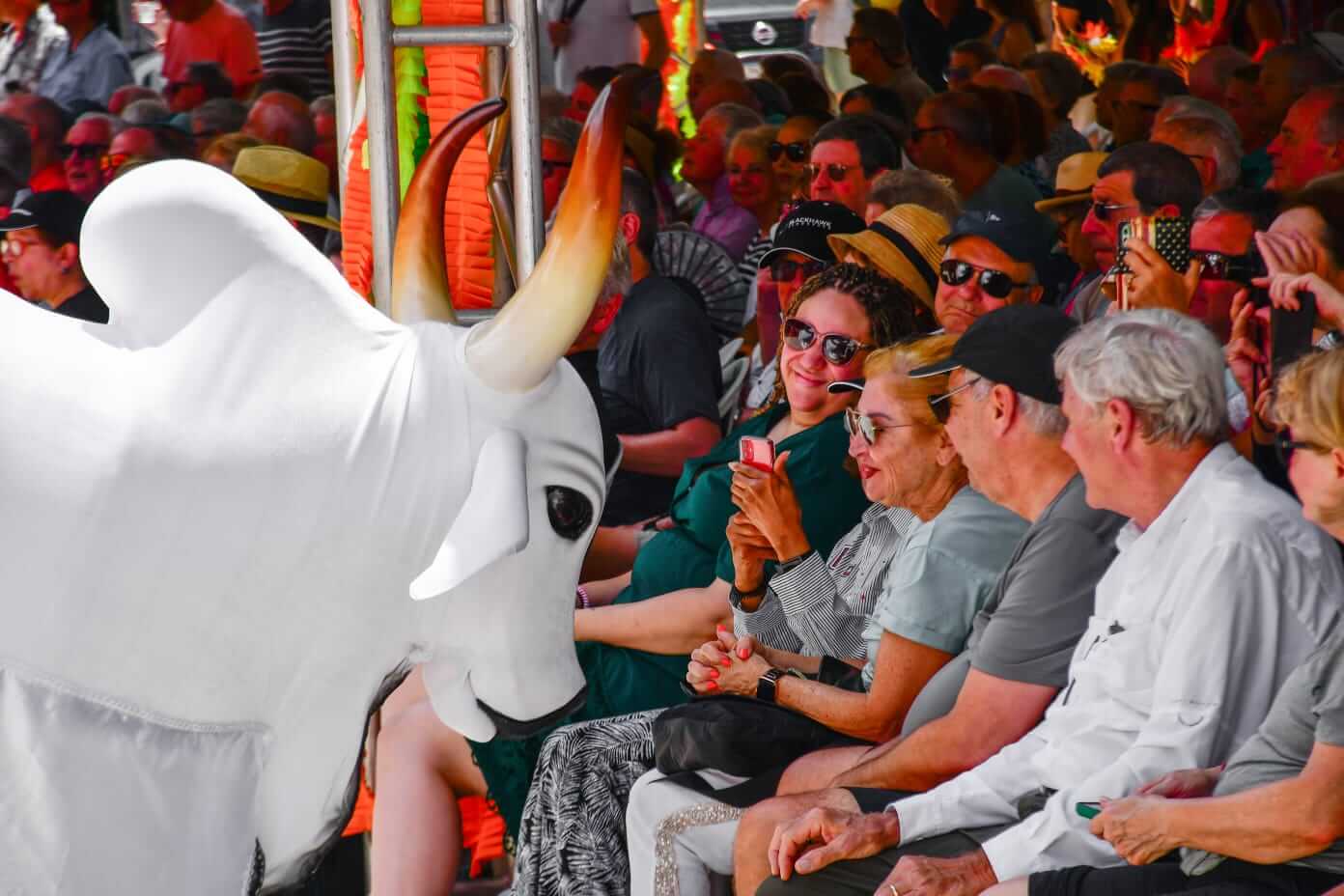 Boi Bumba Garantido