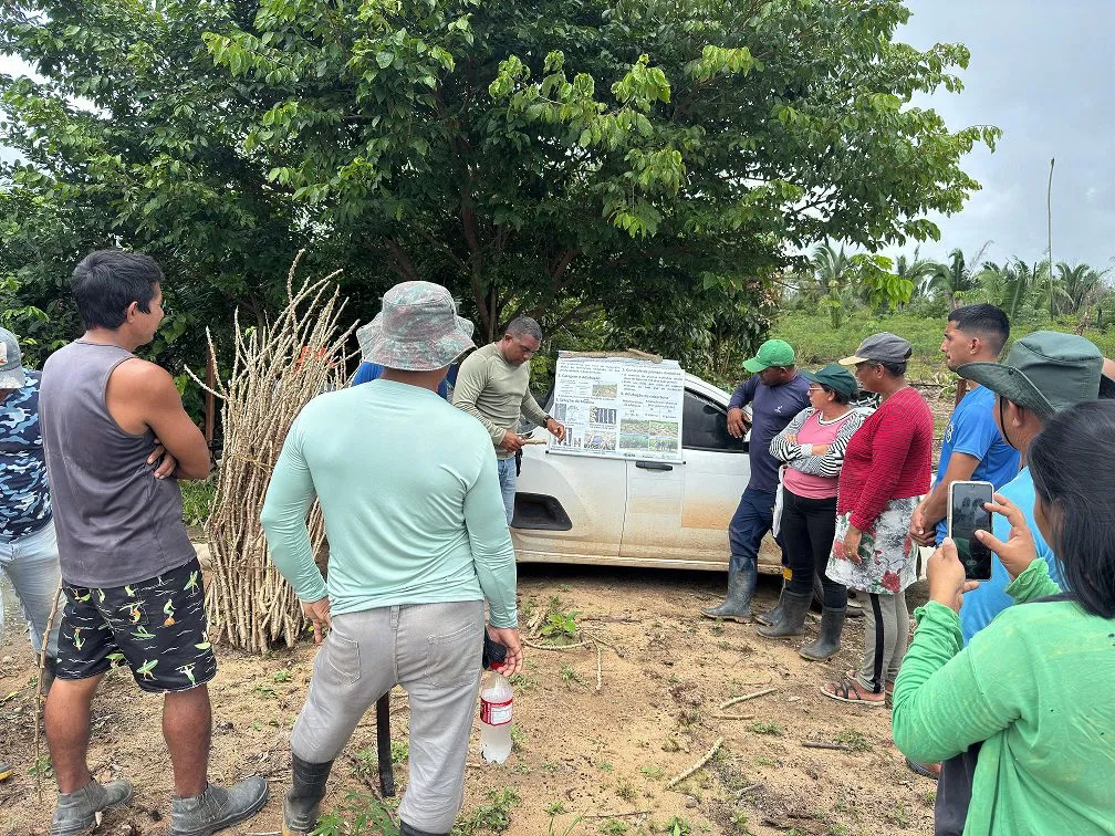 Idam inicia implantação três Unidades Demonstrativas (UD) de mandioca no interior do Amazonas