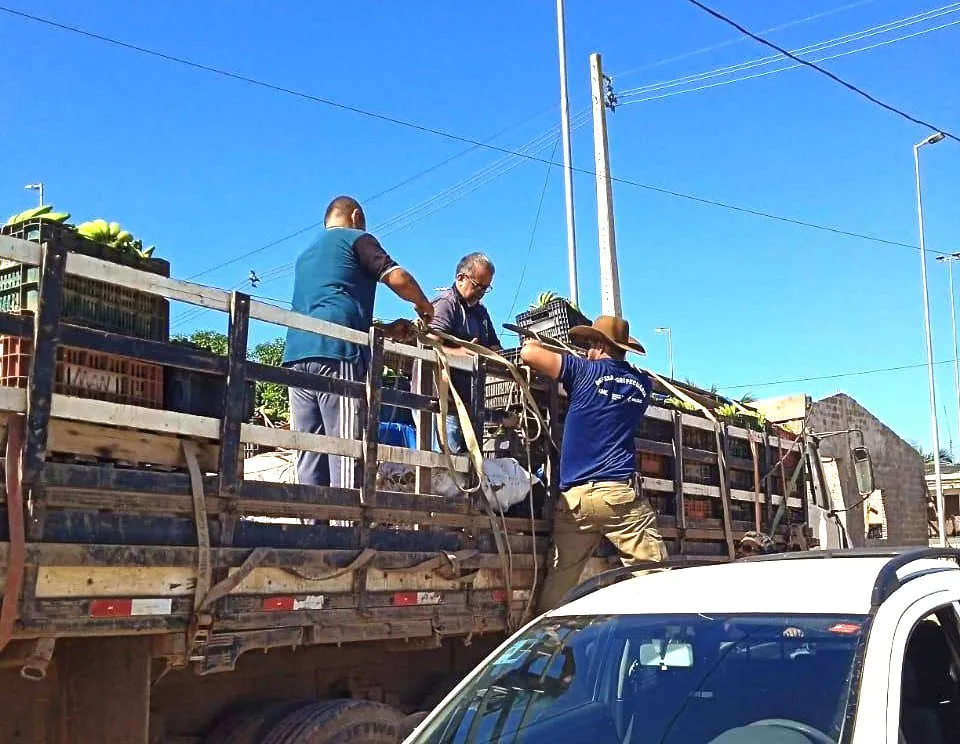 Adaf apreende mais de três toneladas de laranjas escondidas em carga de banana
