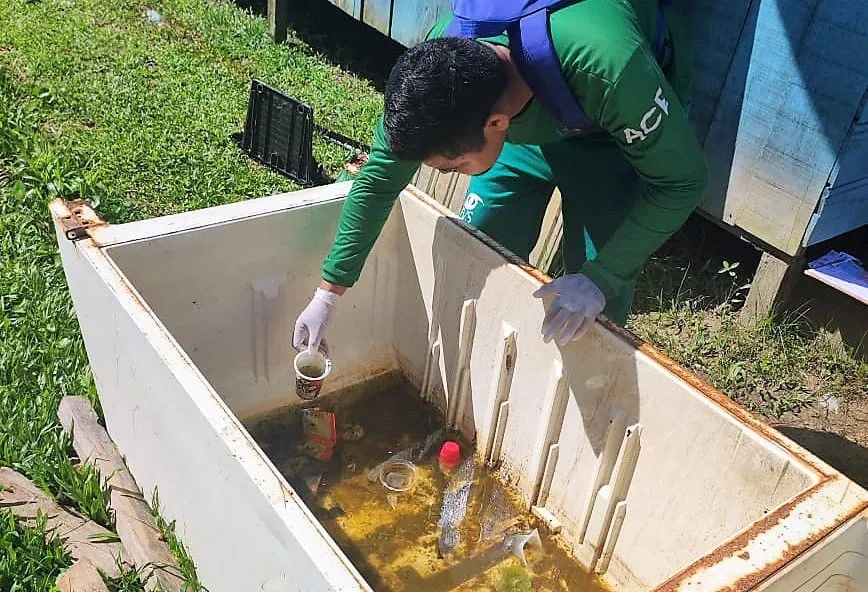 Amazonas atualiza situação das arboviroses nesta quinta-feiraAmazonas atualiza situação das arboviroses nesta quinta-feira