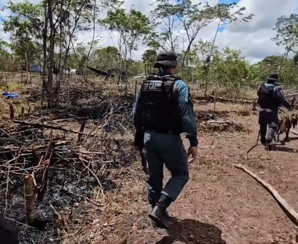 Reintegracao-de-posse-em-Parintins-3-1024x838 Com apoio da população, reintegração de posse em Parintins expõe comércio ilegal de terras