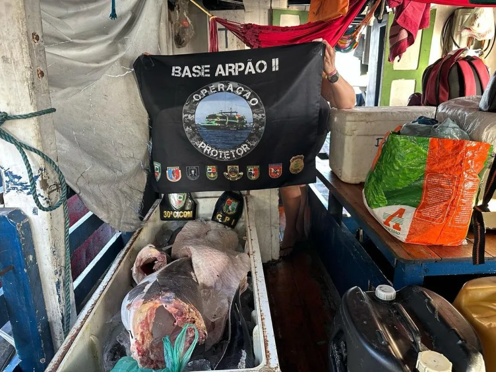 Base Arpão 2: PMAM apreende em Barcelos mais de meia tonelada de pescado protegido pelo Defeso