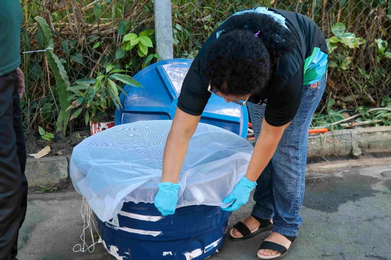Amazonas divulga informe epidemiológico de arboviroses no Amazonas