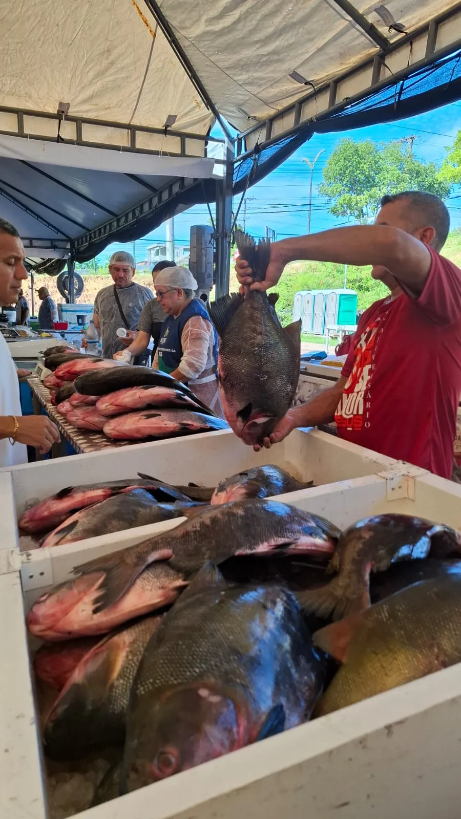 Feirão do Pescado: ADS registra venda de mais de 12 toneladas de peixes no segundo dia do evento